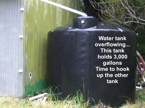 Only 5 days of rainfall, this tank is full.  I've got to hook up the second tank.