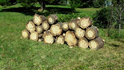 Stacked up in sun to air out