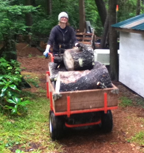 This is the closest thing to a tractor that I've always wanted, but our acreage just doesn't justify a tractor.