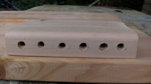 Entrance holes drilled more or less in a straight line.