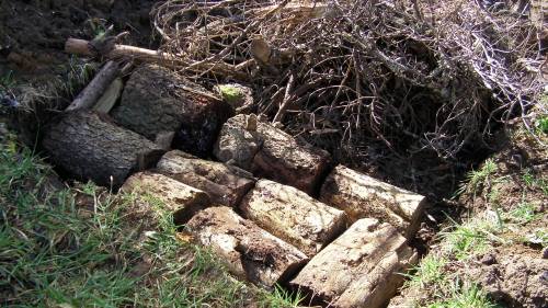 What it looks like so far