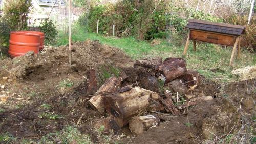 I think it's done..."Honey, you can shovel all the dirt in now..."