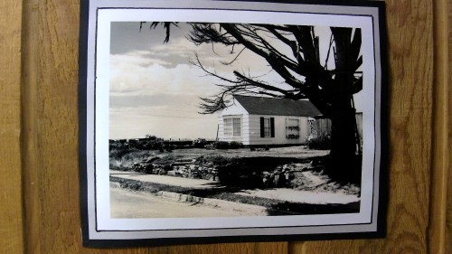 Henry Baldwin's House, built sometime after the 1936 fire, now known as the Shindler House. Baldwin Cypress in foreground.