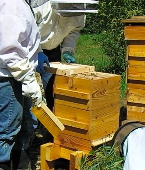 Sliding the sugar frame into place