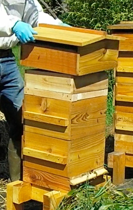 Top it off with the roof.  Matt Reed of beethinking.com, you made a nice hive kit.