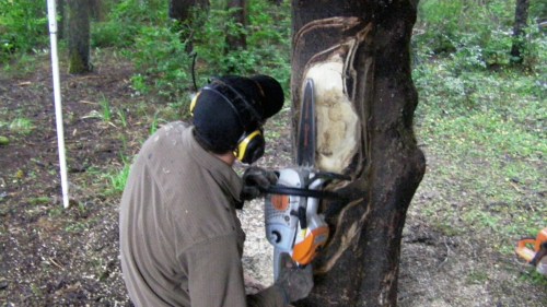 Not being an artist, it's hard for me to 