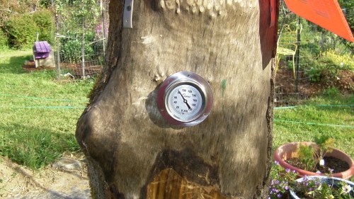 I've always wanted to note the temperature of the hive. 