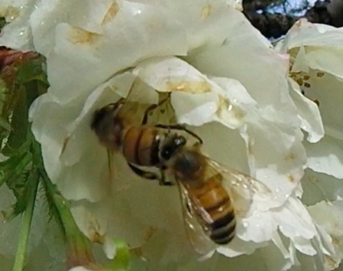 You're going down...