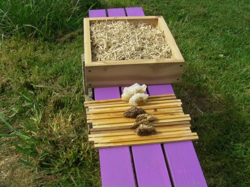 Top bars with old comb melted on.  Quilt box in background
