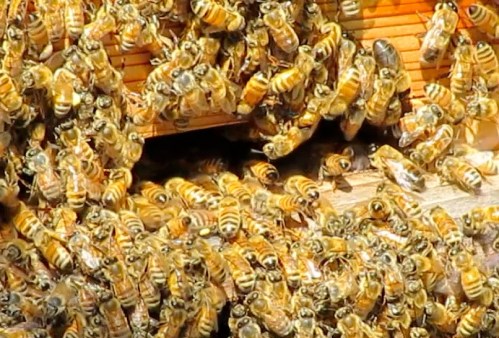 At 10-35 am, they are definitely headed back in