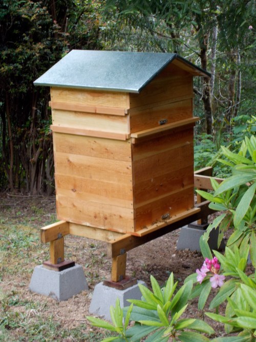 My Perone hive, showing the brood box (24 inches in length, width and depth), one super and the roof.  Construction was of Douglas Fir with the exterior thin-coated with linseed oil.  Materials cost about $140 including the concrete footed mounting frame and a sheet of galvinized metal for the roof. 