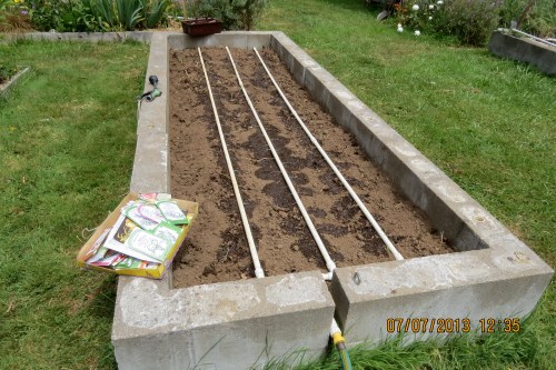 The start of our winter lettuce...This year I'm determined to grow enough for the winter...might be a little early though.
