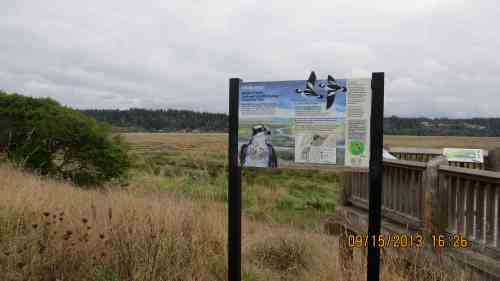 Welcome to the Bandon Marsh National Wildlife Refuge