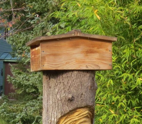 It was not 'her style' and she was not afraid to complain about it.  "It's too plain," she says.  "I want something unique, like I am."