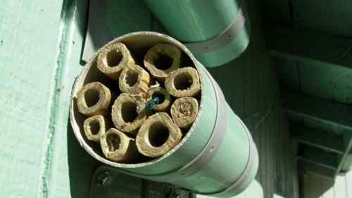 Sept. 1, 2013...Two tubes filled with visitor