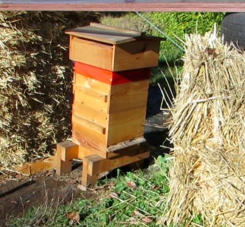 December 27...Warre Hive is being fed with a dry sugar mix consisting of green tea, chamomile tea, nettle leaf extract oil, and a few other little gems.  The sugar was placed on a 2" x 2" frame and positioned between the brood box and the quilt box, then sealed with red tape.