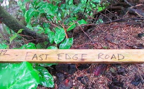 They want to put a road here.