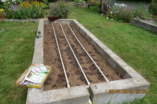 July 10, 2013...Spring veggies harvested, soil spaded and leveled, drip watering in place, this bed is ready to plant our winter garden.