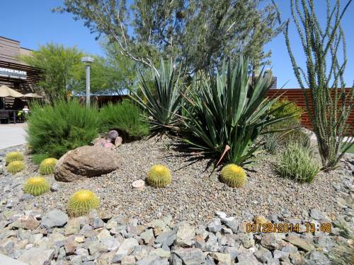 One last desert setting at the airport.