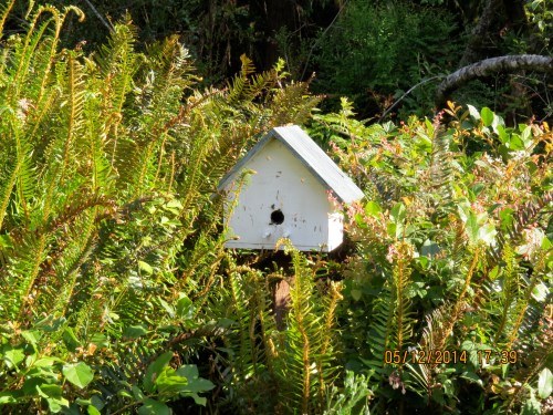 Here is where they will stay.  It's the house they chose and while the location has changed a few times, the house is the same.