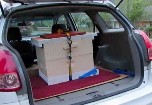 Ready to roll, back to home.