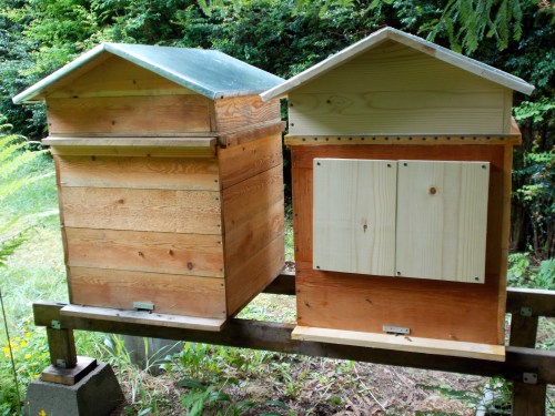 April 28, 2014...the old Perone is on the left.  The colony in the older hive was started from a swarm 11 months ago.  Clearly it over-wintered successfully under the Perone system.