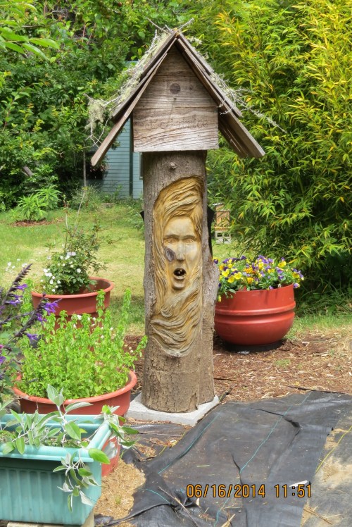 June 16, 2014...10th day of bees in Bee-atrice.  I think they will stay this time.