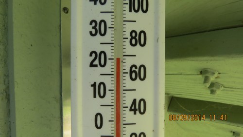 At 70F (20C) it's a good day for a swarm.