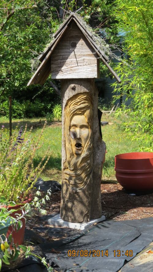 September 8, 2014...Post swarm day 33.  There's a shadow across her face.  I hope that's not a bad sign, but the bee math doesn't look good for her.