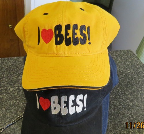 I have to admit I got the idea for these hats from a "I Heart Bees" sticker that my daughter gave  me.  I knew it would be a conversation starter (not that I needed one) to talk about my favorite subject. If the subject turns to bee keeping, I carry pictures in a shirt pocket to brag up my log hives.