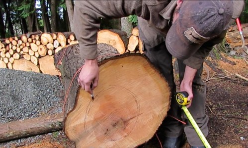 Brian Vorwaller draws the place he wants the bee cavity.  We've got to leave about a 4 inch thickness the  kids' faces.
