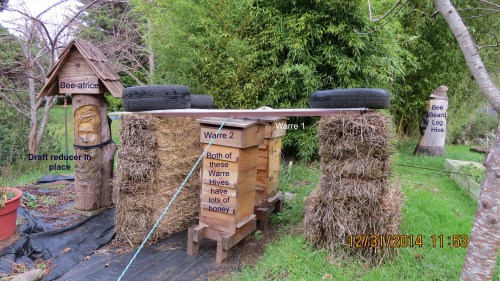 Bee-atrice log hive is on the left.  The inner tube is a draft reducer, not what it looks like, so no snide remarks!