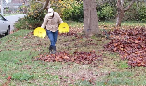 Who can pick up the most leaves?