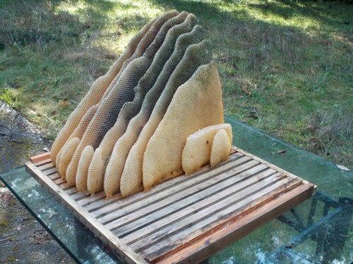 Here's a view from the other side.