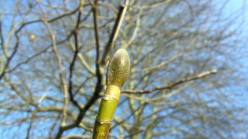 Already a promise of things to come.