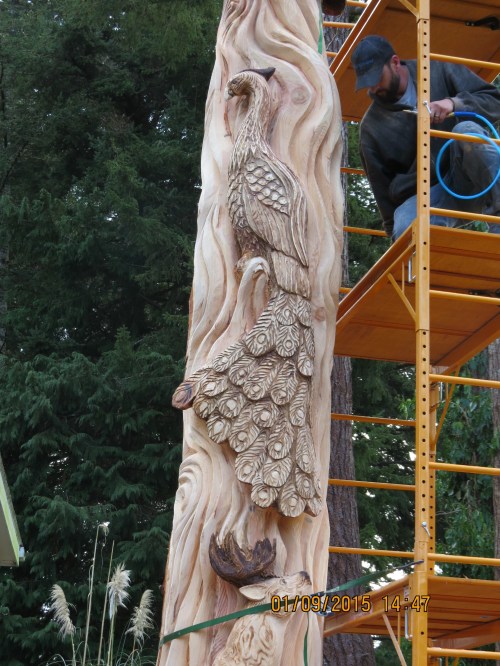 Peacock carving