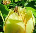 71 getting into the work&nbsp;2