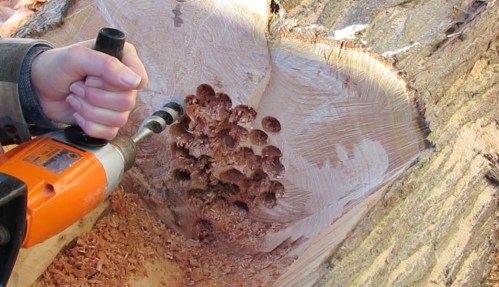 Drilling more holes for the 'bowl.'