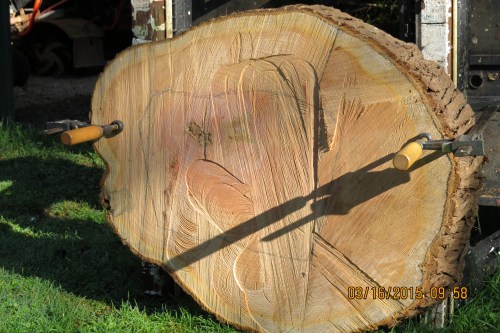 March 16...The sun came out so I was able to get some time outside.  The pencil lines line up with the top bars on the top of the log hive.