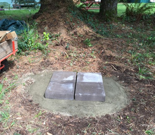 While my wife was transplanting, I was preparing a base for my new log hive.  The wood carver said he would bring it out Monday.  I think I'm ready with packed sand under these heavy cement blocks.