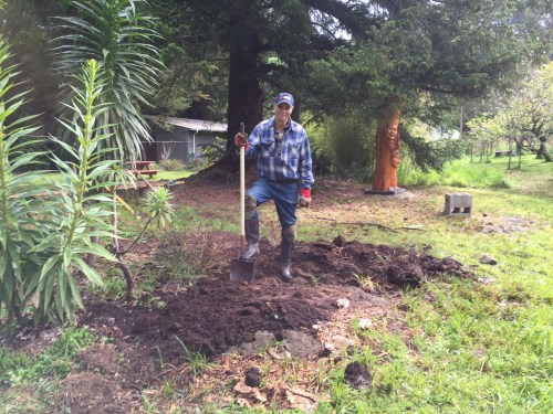 I started this project about a week ago.  It kept getting bigger and bigger with all the ideas that were percolating.