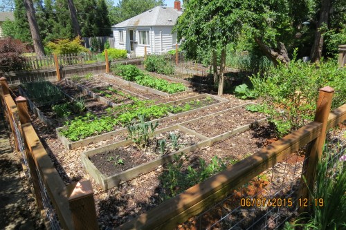 This is Jim's front yard.  He apologized for the fence, but he says it keeps the deer out.  I can relate.