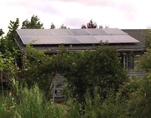 I wanted to ask the owner of Crow Feather Farm, about the solar panels array, but I was taken by all the flowers and time was short.