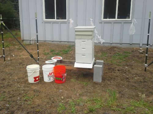 Big Swarm has a new home.