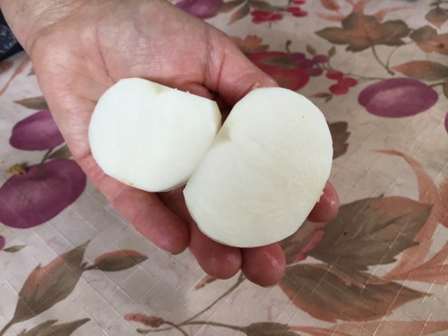 No bug holes, which is the reason why we use a 'pest protection' floating row cover.