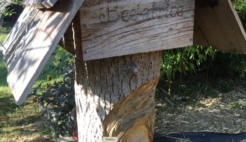 Sadly, Bee-atrice log hive is infested with wasps too.