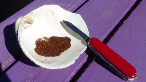 A small pile of seeds using my pocket knife as a reference.