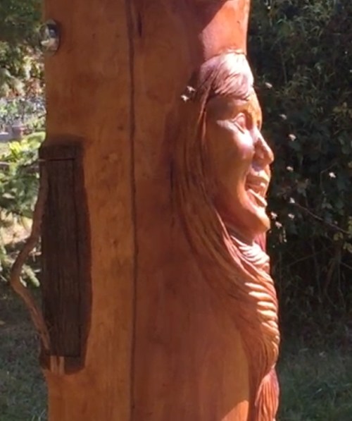 Oct. 17.....I had just visited a big hive that had gotten robbed out. I was worried these might be robber bees because when I looked inside the hive, the bees were running around on the inside of the hive. 