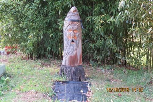 12 Bee Beard, 12-18-15