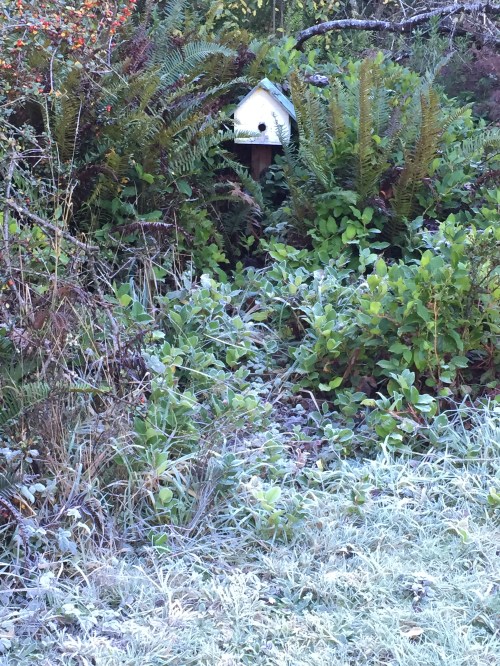 2138 Birdhouse bees, frost, 11-26-15